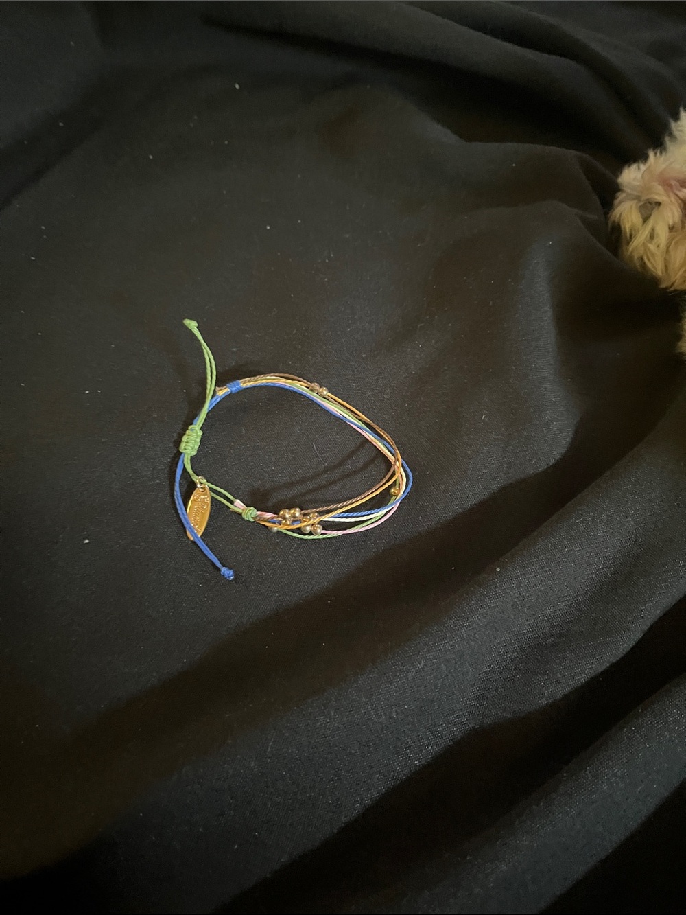 Multicolor Cord Friendship Bracelet with Gold Accents plunder